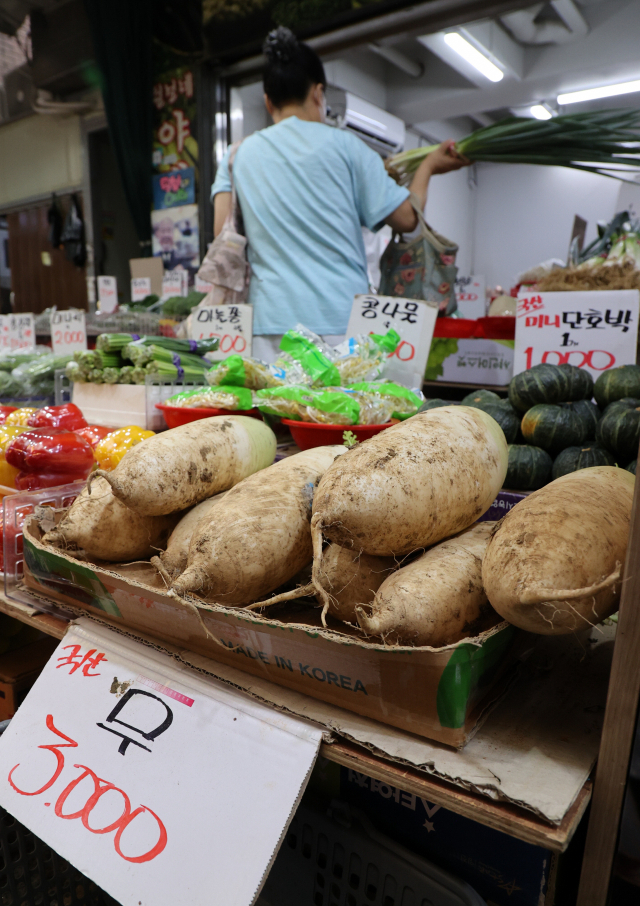 이달에 이어 내달까지도 출하량이 정상화 되지 않아 배추와 무의 가격 강세가 추석 무렵까지 이어질 것으로 관측됐다. 사진은 한 전통시장의 농산물 판매대 모습. 연합뉴스