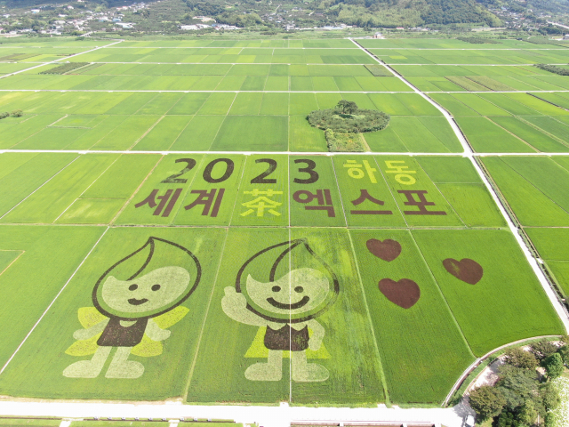 하동군 악양면 평사리 무딤이들에 조성된 ‘2023세계차(茶)엑스포’ 홍보를 위한 들녘아트.. 하동군 제공
