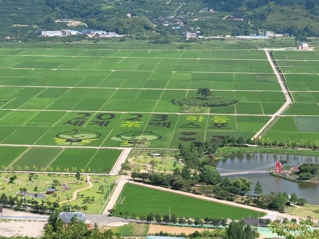 하동군 악양면 동정호와 무딤이들에 조성된 ‘2023세계차(茶)엑스포’ 홍보를 위한 들녘아트.하동군 제공