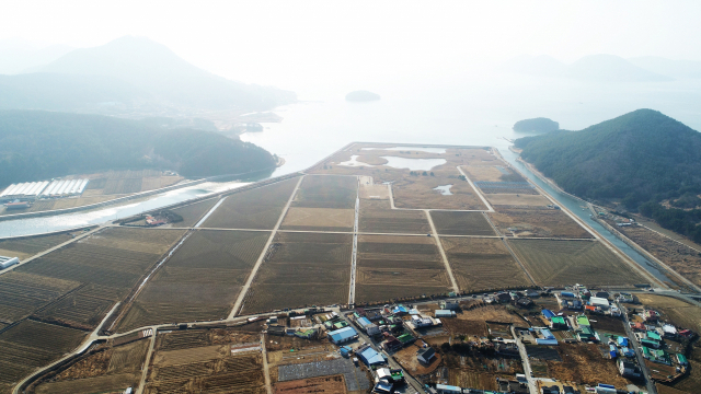 한·아세안 국가정원으로 탈바꿈하게 될 거제시 동부면 산촌간척지 전경. 바다와 가까운 유수지의 갈대밭과 습지는 겨울 철새들의 쉼터다. 산림청은 이곳을 한·아세안 10개국의 주제별 정원으로 꾸민다. 거제시 제공