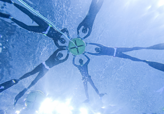 울산 문수실내수영장 다이빙풀에서 프리다이빙을 즐기는 모습