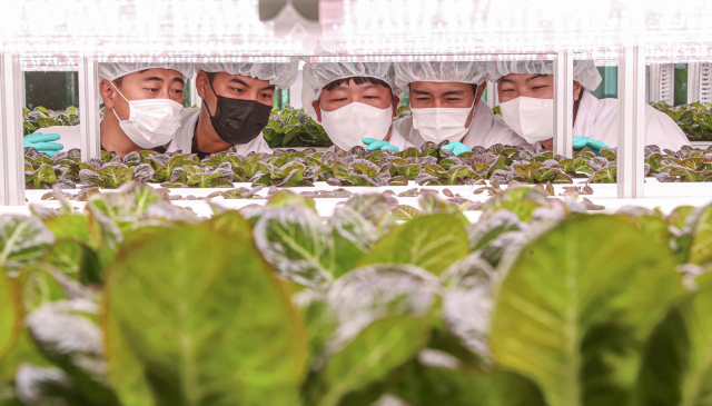 부산농업기술센터 수직농장에서 수직농법을 배우는 모습