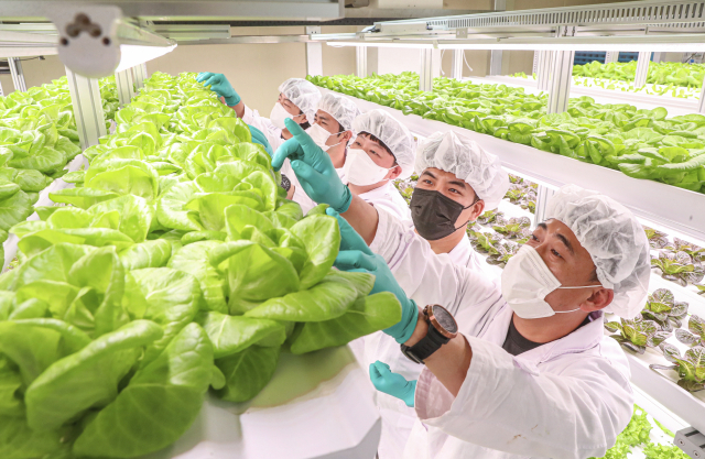 부산농업기술센터 수직농장에서 수직농법을 배우는 모습