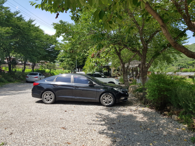 농어촌공사 창녕지사가 이달 중 현황측량을 실시한 뒤 위반구조물여부를 조사하기로 한 계성천변의 매립지 모습. 백남경 기자