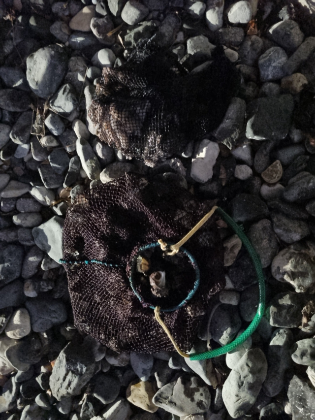 지난달 16일 부산 영도구 인근 바다에서 잠수 장비를 착용한 채 불법으로 뿔소라 100여 마리, 문어 8마리 등을 포획한 50대 2명이 해경에 적발됐다. 부산해양경찰서 제공