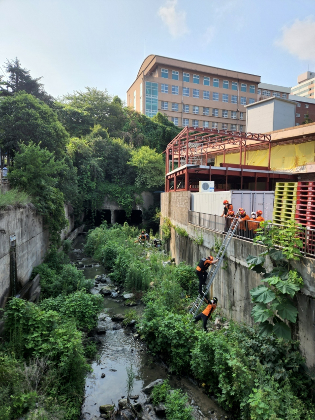 부산 사상경찰서 제공