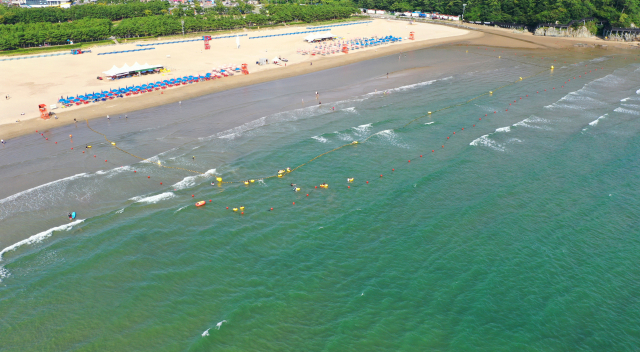 25일 오후 다대포해수욕장이 녹조의 영향으로 녹색을 띄고 있다. 정종회 기자 jjh@