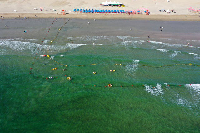 부산 사하구 다대포해수욕장에서 뇌 질환을 유발하는 독성물질이 국내 최초로 발견돼 파장이 인다. 25일 오후 다대포해수욕장이 낙동강 녹조 영향으로 시퍼렇게 물들어 있다. 정종회 기자 jjh@