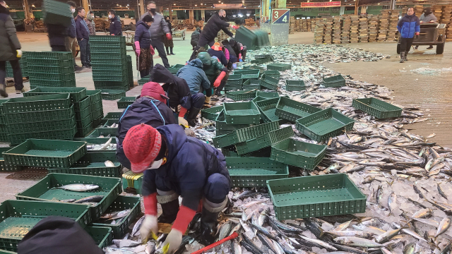 지난해 2월 부산공동어시장에서 시범적으로 사용된 플라스틱 상자. 부산공동어시장 제공