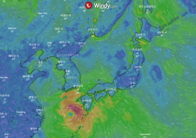 14호 태풍 '난마돌' 또는 난마돌로 발달할 가능성이 있는 열대저압부 관련 윈디닷컴(windy.com)의 18일 0시 시점 예보.