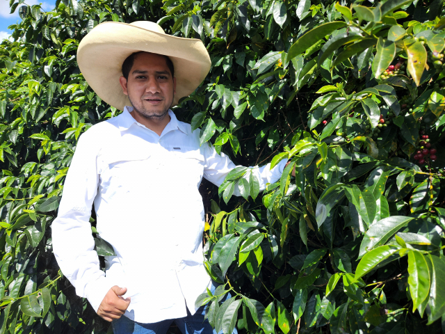 페루를 이끄는 청년 스타농부 윌더 가르시아 씨가 자신의 농장에서 커피 나무 재배법에 대해 설명하고 있다.