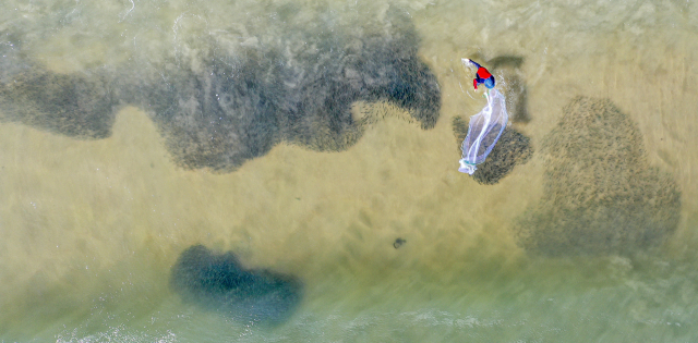 지난달 15일 부산 서구 송도해수욕장에 멸치떼가 등장하자 시민들이 투망을 이용해 멸치를 잡고 있다. 김종진 기자 kjj1761@