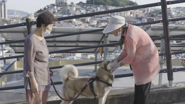 조경자 어머님은 마을 마스코트 '아지'를 키우고 있다. 함께 산책을 나갈 때면 몰라보는 주민이 없을 정도다. 사진은 조경자 어머님(왼쪽)과 호천마을 주민(오른쪽)