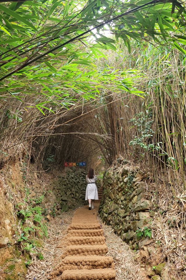 구조라진성으로 향하는 길에 지나치는 샛바람소리길.