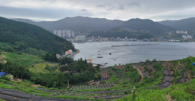 거제시 일운면 지세포진성에서 바라본 바다.