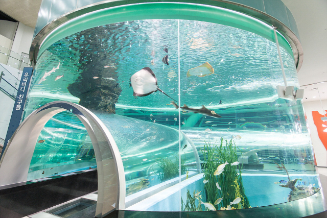 해양박물관 수족관 모습. 해양박물관 제공