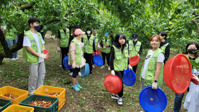 부산시새마을회 등, 농촌봉사활동