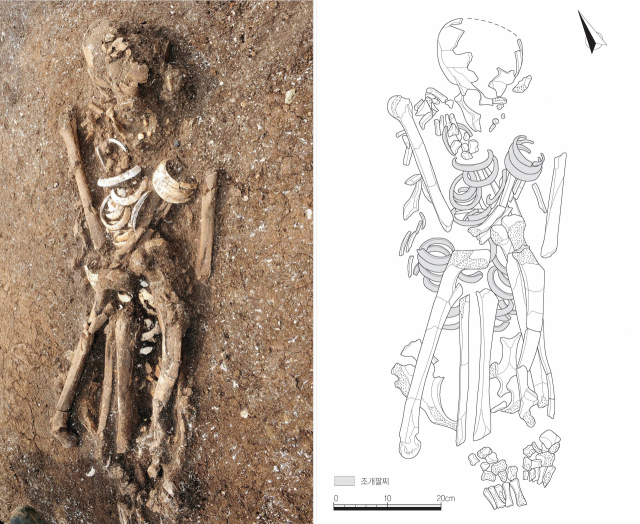 조개팔찌를 찬 신석기시대 인골.