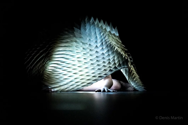 캐나다 페트리코르 댄스 '서식지 HABITAT'. 부산국제춤마켓 제공