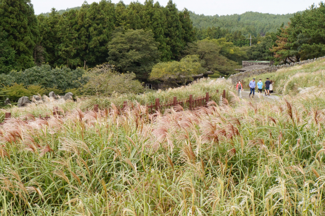 제주도 산굼부리.
