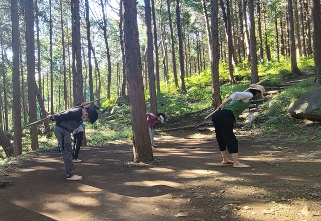 창원 편백 치유의 숲 체조장에서 산림치유 프로그램 참가자들이 막대기로 스트레칭을 하고 있다.