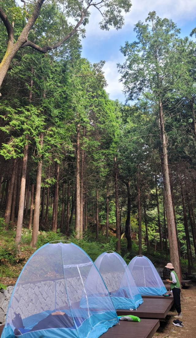 창원 편백 치유의 숲 명상장.