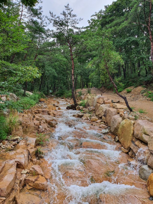 부산 기장군 철마면 ‘부산 치유의 숲’. 부산 치유의 숲 제공