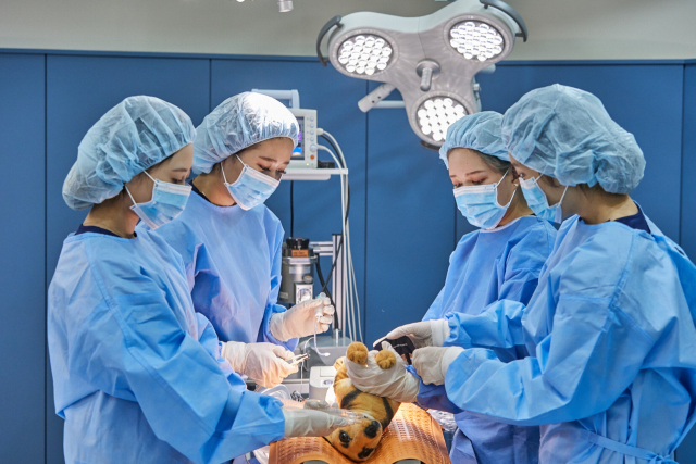동물병원과 동일하게 구축한 미러형 실습실. 부산여대 제공