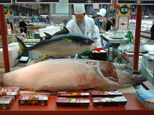 사진은 한국원양산업협회가 ‘참치데이’를 맞아 참치 판촉 행사를 진행하고 있는 모습. 부산일보DB