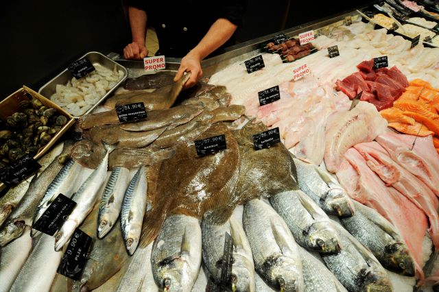 시장에 판매되고 있는 물고기들. 로이터연합뉴스 자료사진
