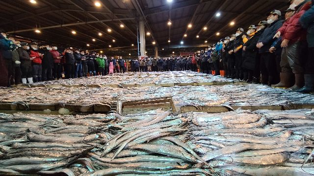 부산공동어시장에서 갈치가 대량으로 위판되고 있는 모습. 부산일보DB