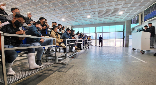 굴수하식수협은 올해 전자 경매 시스템을 도입했다. 12일 사전 경매에서 중도매인들이 입찰하고 있다. 김민진 기자