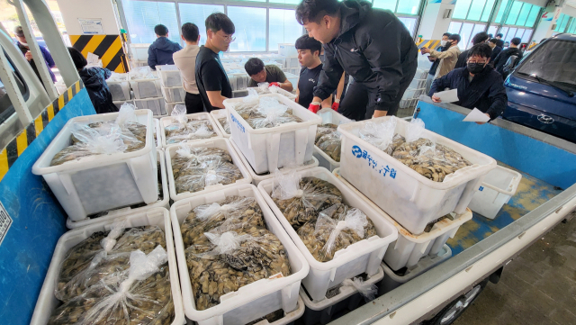 굴수하식수협은 지난 12일 사전 경매를 시작으로 2022년산 햇굴 출하를 개시했다. 이날은 올해 처음 도입한 전자 경매 시스템 점검을 겸한 자리로 본 경매는 24일 초매식과 동시에 시작된다. 사전 경매에 내놓을 물량이 수협 공판장으로 들어오고 있다. 김민진 기자