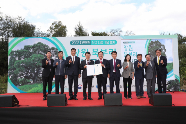 창원시가 12일 오후 의창구 대산면 북부리에서 ‘창원 북부리 팽나무 천연기념물 지정’을 위한 행사를 갖고 있다. 창원시 제공