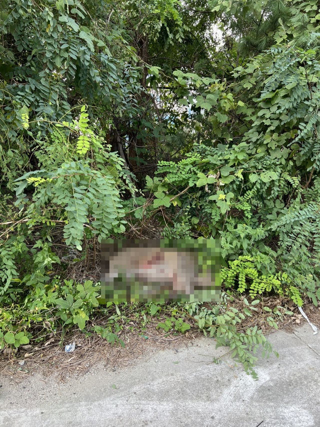 부산 해운대경찰서 제공