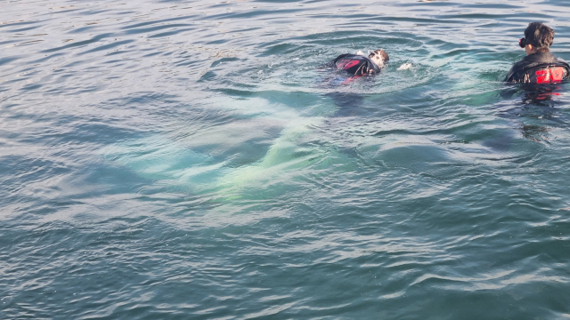 부산소방재난본부 제공
