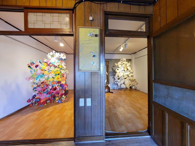 2020년 영주맨션에서 열린 김경화 개인전 전시 전경. 오금아 기자