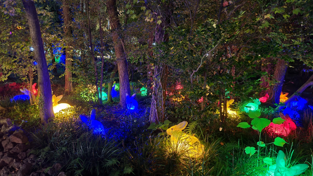 제주시 연동 수목원테마파크의 LED 공원.