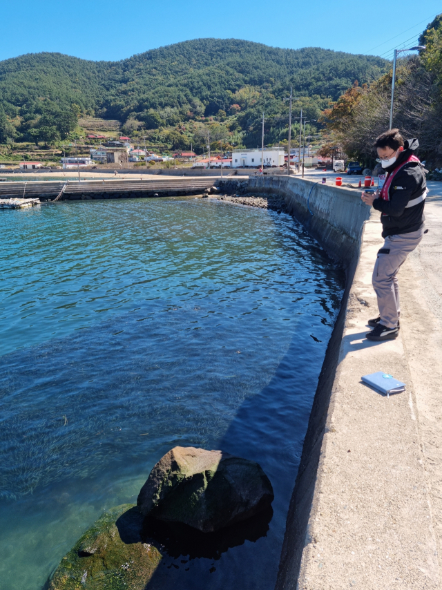 국립수산과학원 남동해수산연구소 연구관들이 19일 한산면 용초도를 찾아 해안으로 밀려온 정어리 무리를 관찰하고 있다. 독자 제공