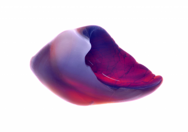 문진우 'Shell-Visible & Invisible Series #10'. 아트스페이스 이신 제공