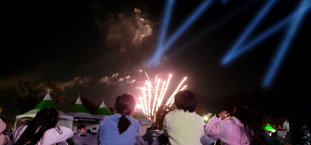 페스티벌에 참가한 가족들이 불꽃쇼를 보면서 소원을 빌고 있다. 김태권 기자