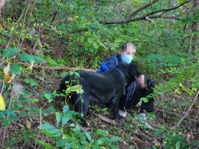 경남경찰청 체취견 블랙이 지난 지난 18일 오후 3시 55분께 경남 창원시 마산합포구 무학산 중턱에서 실종됐던 지적장애 3급인 50대 남성을 찾은 모습. 경남경찰청 제공