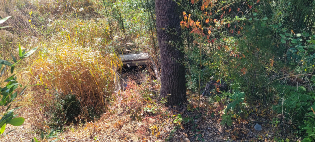 경계지점에 방치된 폐선박. 김현우 기자