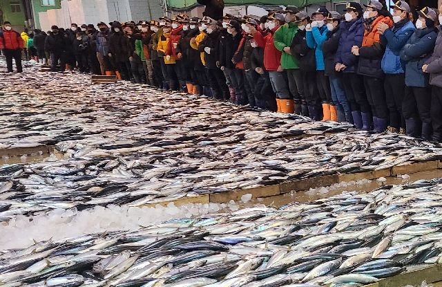 부산공동어시장에서 중도매인들이 고등어 경매를 하고 있는 모습. 부산일보DB