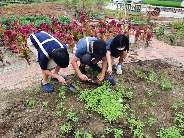 농촌진흥청은 학교 안팎에서 위기를 겪는 아동과 청소년을 대상으로 식물을 활용한 치유농업이 이들의 우울감을 개선하고 학교 적응성을 높이는 등 긍정적 영향을 주는 것을 확인했다고 밝혔다. 농촌진흥청 제공