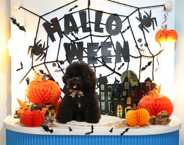 해운대 영무파라드호텔은 할로윈데이 배너 인증샷 이벤트를 실시한다. 해운대 영무파라드호텔 제공