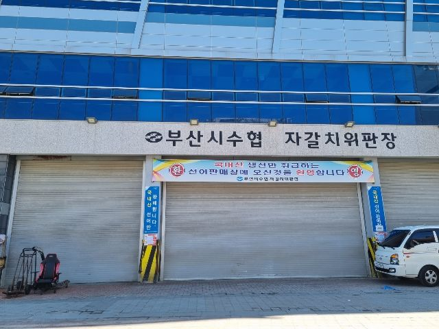 부산시수협 자갈치위판장 전경. 부산일보DB