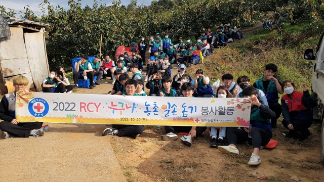 대한적십자사 부산지사(회장 서정의)의 청소년적십자(RCY) 단원들과 지도자 100여 명은 지난달 29일 경남 김해시 진영읍 한림면에 있는 단감 농가에서 농촌 일손 돕기 봉사활동을 실시했다.