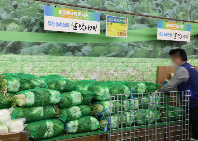 사진은 지난달 28일 서울 시내 대형마트에 김장재료 및 채소 판대매 모습. 연합뉴스