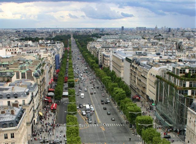가로수가 사각형 모양으로 가지치기된 프랑스 파리 샹젤리제 거리. 부산일보DB